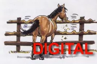 Sachkundenachweis Pferde (SKN) DIGITAL
