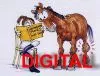 Pferde-Nothilfekurs Digital Pferde-Nothilfekurs Digital