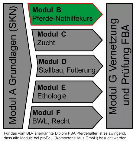 Pferdenothilfekurs