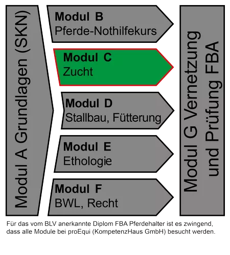 zucht, vorbereitungsauftrag, transferauftrag