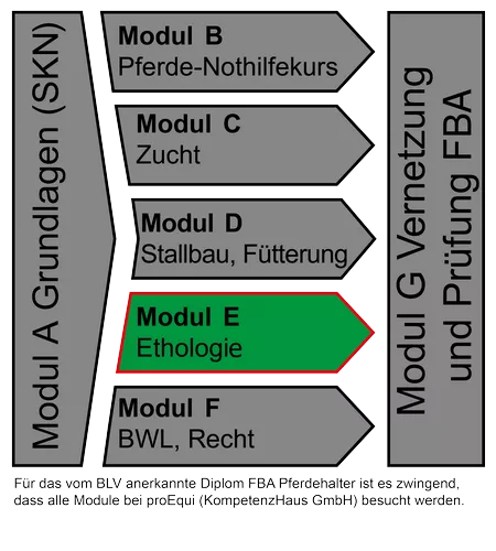 ethologie, vorbereitungsauftrag, transferauftrag