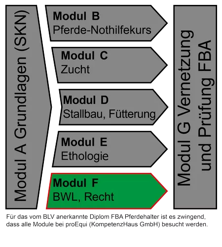 ethologie, vorbereitungsauftrag, transferauftrag