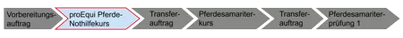 pferde-nothilfekurs, vorbereitungsauftrag, transferauftrag