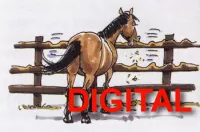 FBA Digital FBA Digital